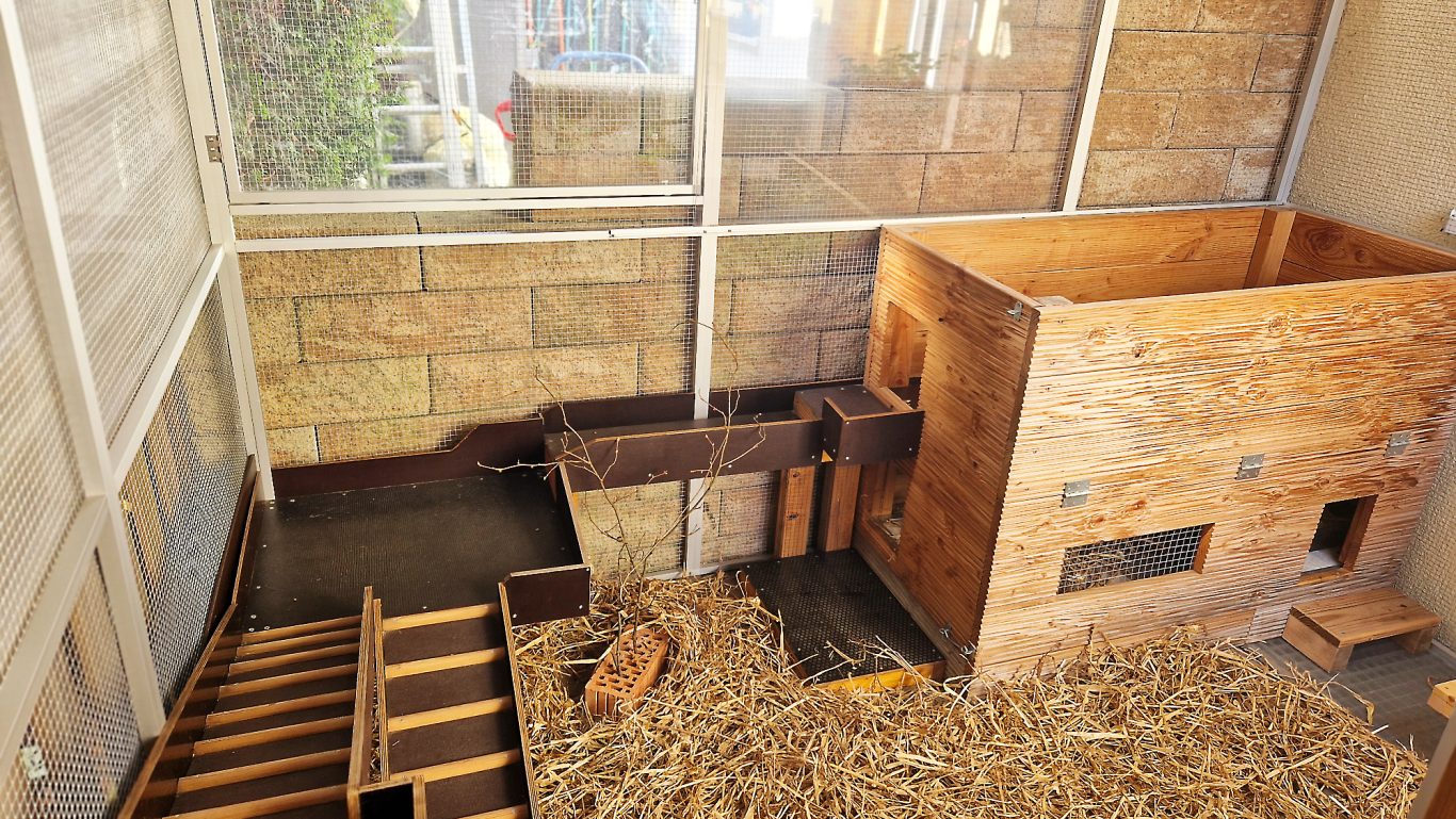 Kaninchen Pension Finca Langohr · Impression 09 Kaninchen Pension Finca Langohr