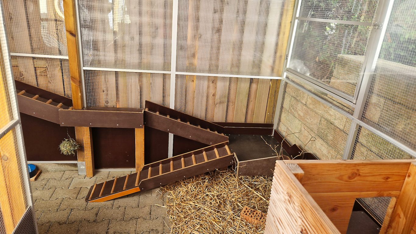 Kaninchen Pension Finca Langohr · Impression 10 Kaninchen Pension Finca Langohr