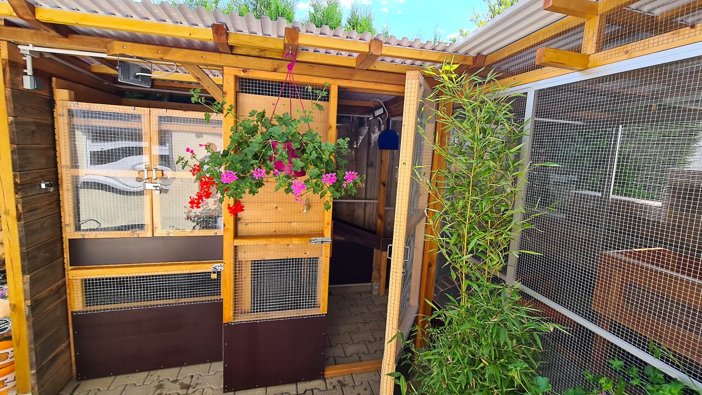 Kaninchen Pension Finca Langohr · Impression 03 Kaninchen Pension Finca Langohr