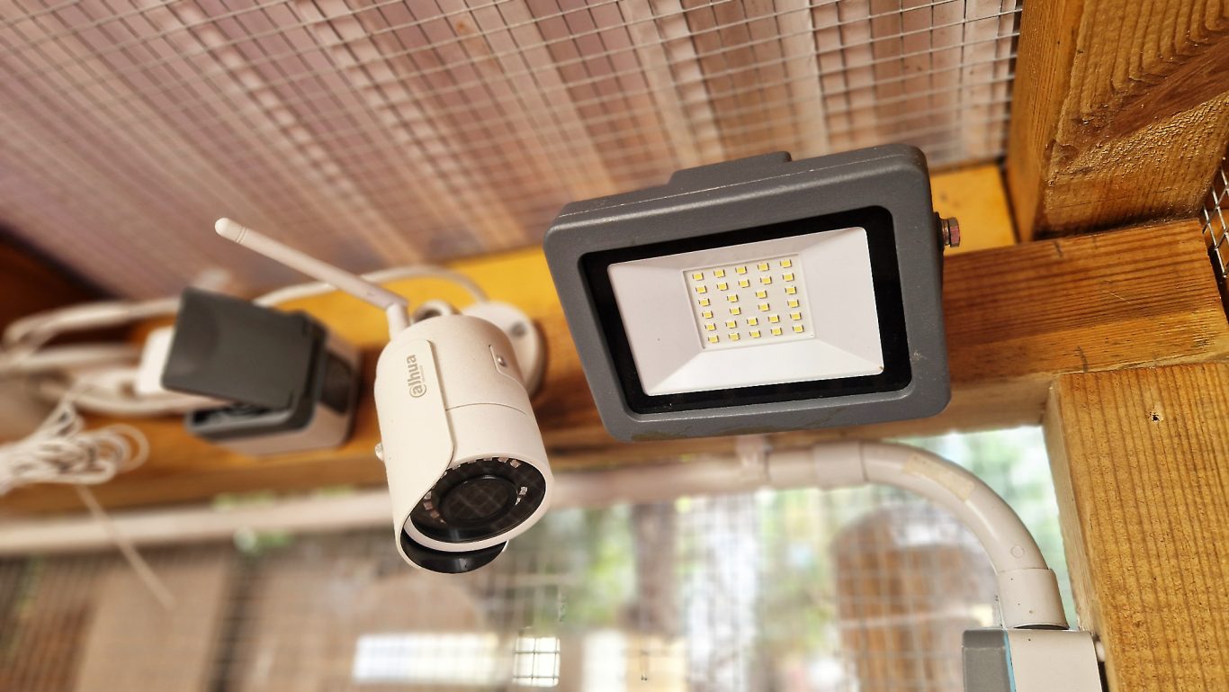 Kaninchen Pension Finca Langohr · Impression 15 Kaninchen Pension Finca Langohr