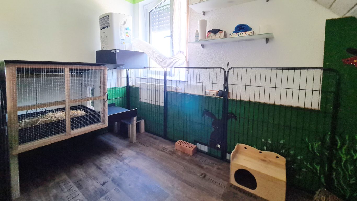 Kaninchen Pension Zum Dachspitz · Impressionen 06 Kaninchen Pension Zum Dachspitz