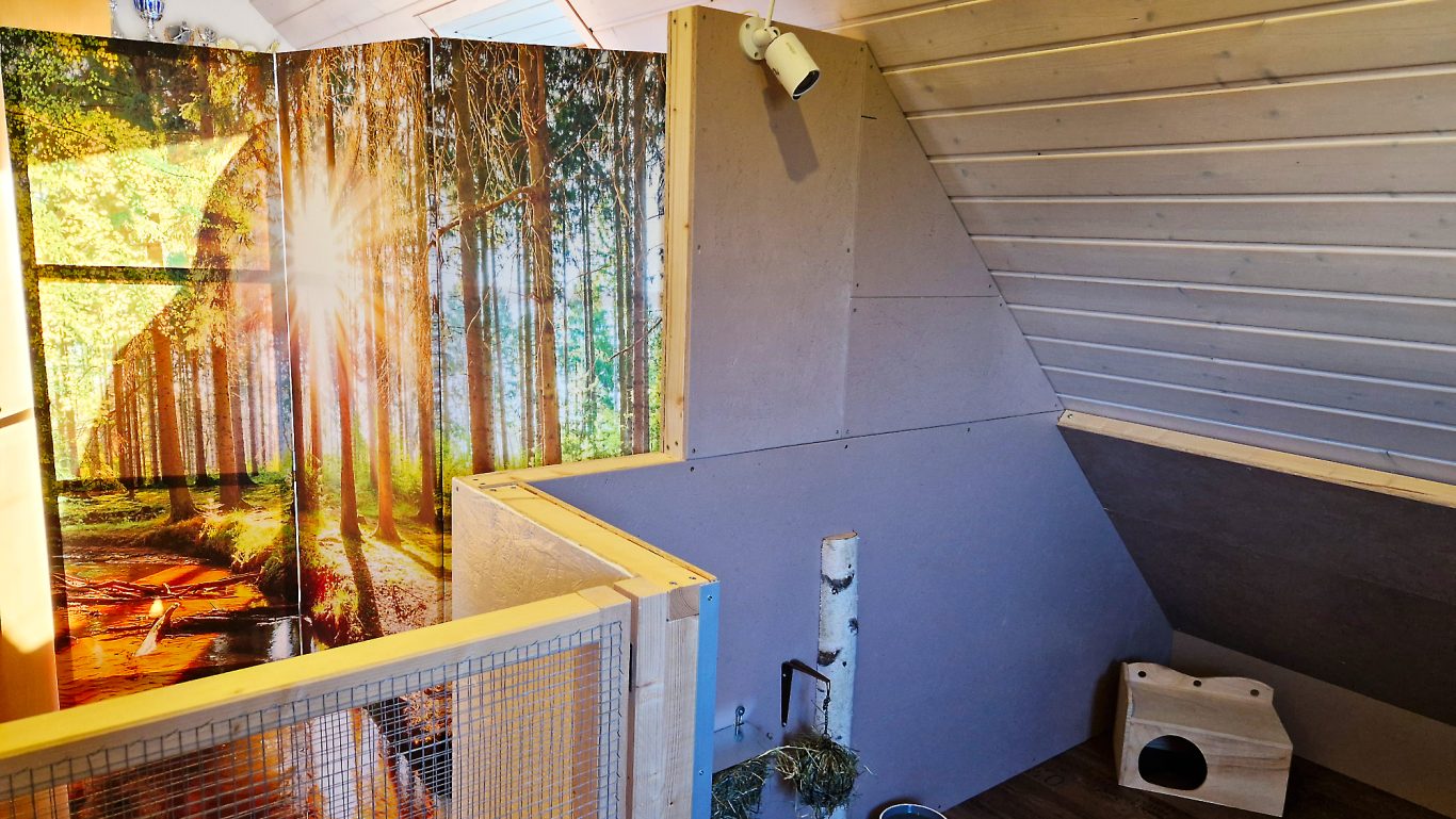 Kaninchen Pension Zum Waldblick · Impressionen 02 Kaninchen Pension Zum Waldblick