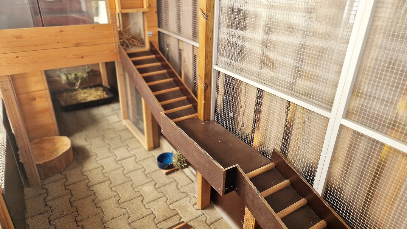 Kaninchen Pension Finca Langohr · Impression 11 Kaninchen Pension Finca Langohr