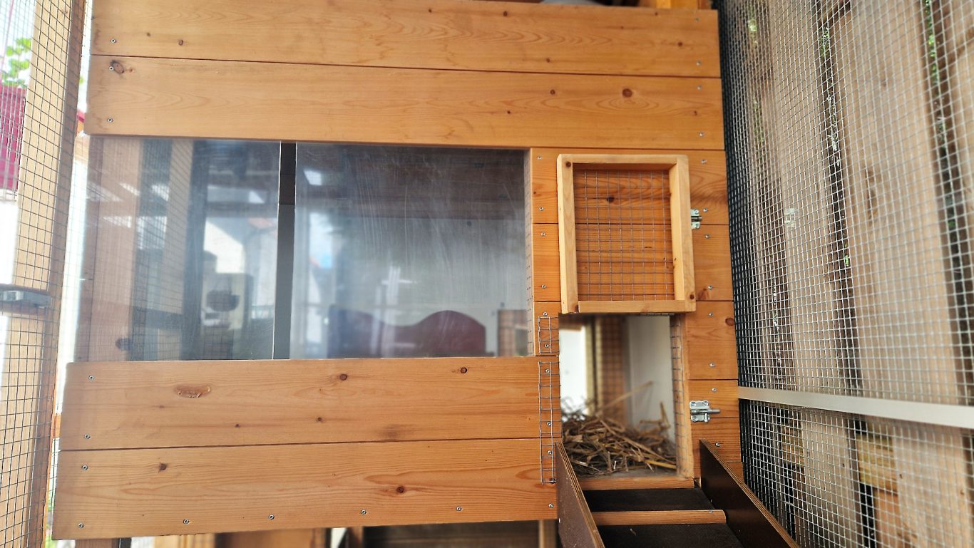 Kaninchen Pension Finca Langohr · Impression 12 Kaninchen Pension Finca Langohr