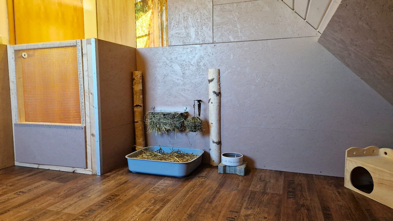 Kaninchen Pension Zum Waldblick · Impressionen 03 Kaninchen Pension Zum Waldblick