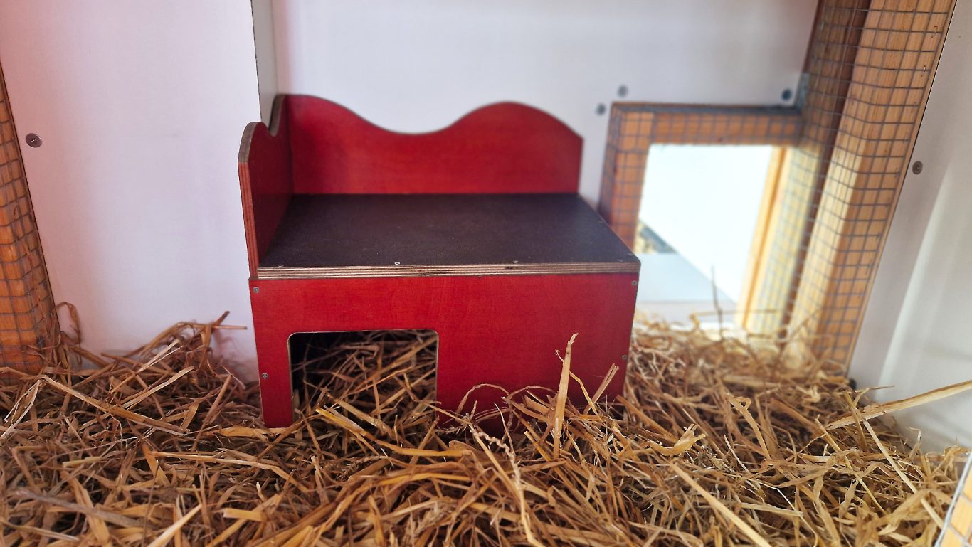 Kaninchen Pension Finca Langohr · Impression 13 Kaninchen Pension Finca Langohr