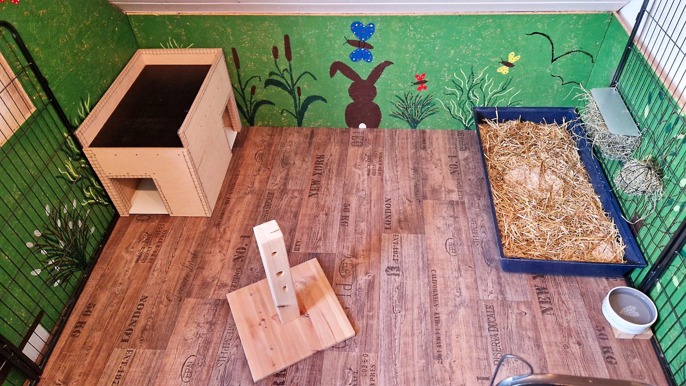 Kaninchen Pension Zum Dachspitz · Impressionen 01 Kaninchen Pension Zum Dachspitz