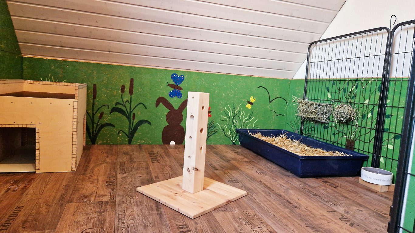 Kaninchen Pension Zum Dachspitz · Impressionen 04 Kaninchen Pension Zum Dachspitz