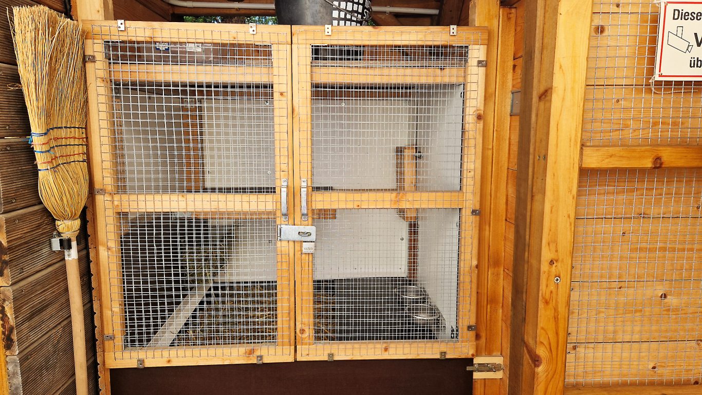 Kaninchen Pension Finca Langohr · Impression 05 Kaninchen Pension Finca Langohr