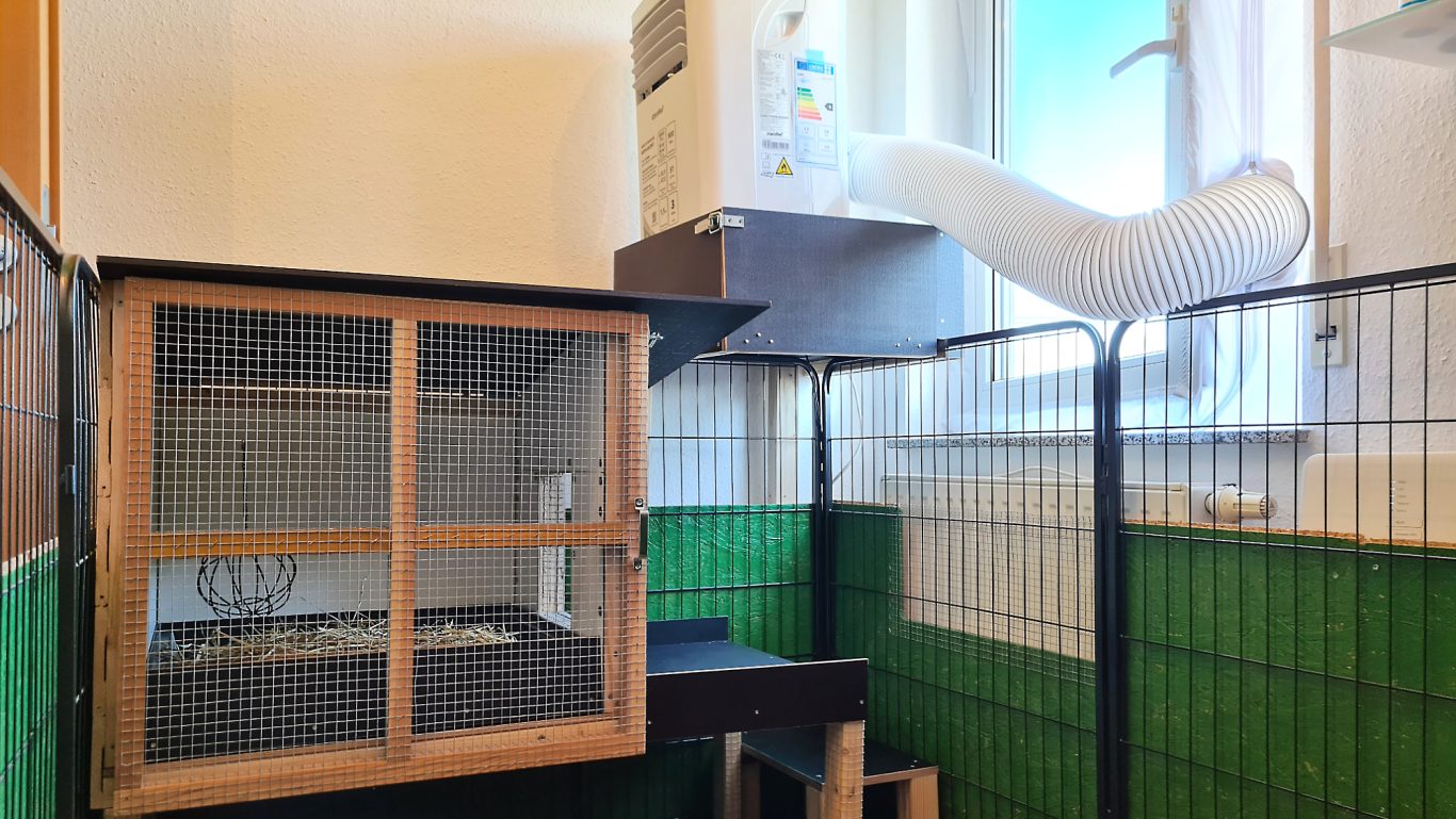 Kaninchen Pension Zum Dachspitz · Impressionen 02 Kaninchen Pension Zum Dachspitz