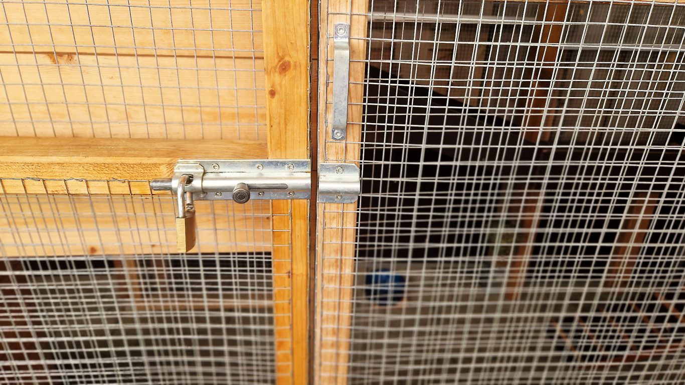 Kaninchen Pension Finca Langohr · Impression 08 Kaninchen Pension Finca Langohr