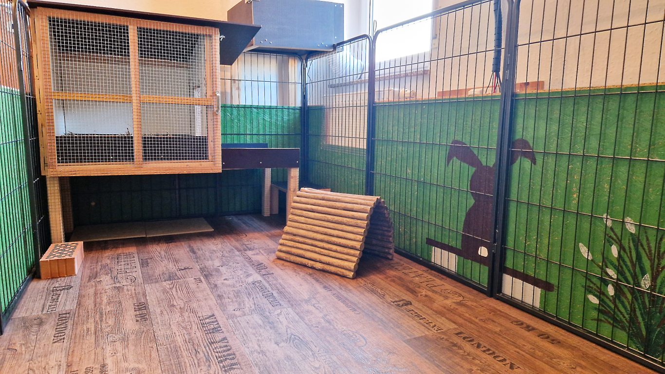 Kaninchen Pension Zum Dachspitz · Impressionen 03 Kaninchen Pension Zum Dachspitz