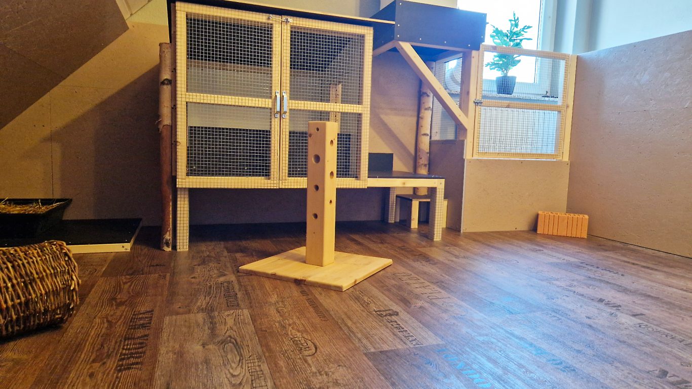 Kaninchen Pension Zum Waldblick · Impressionen 04 Kaninchen Pension Zum Waldblick