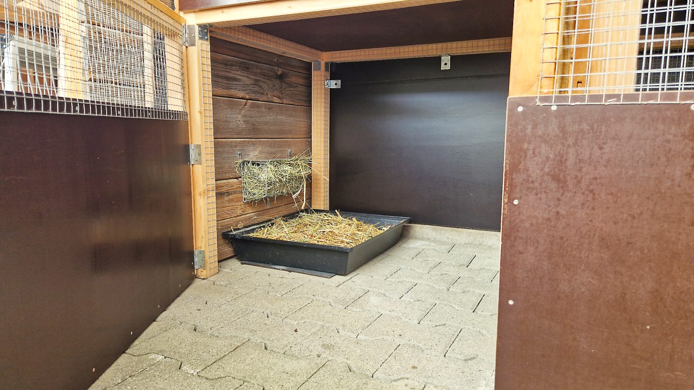 Kaninchen Pension Finca Langohr · Impression 07 Kaninchen Pension Finca Langohr