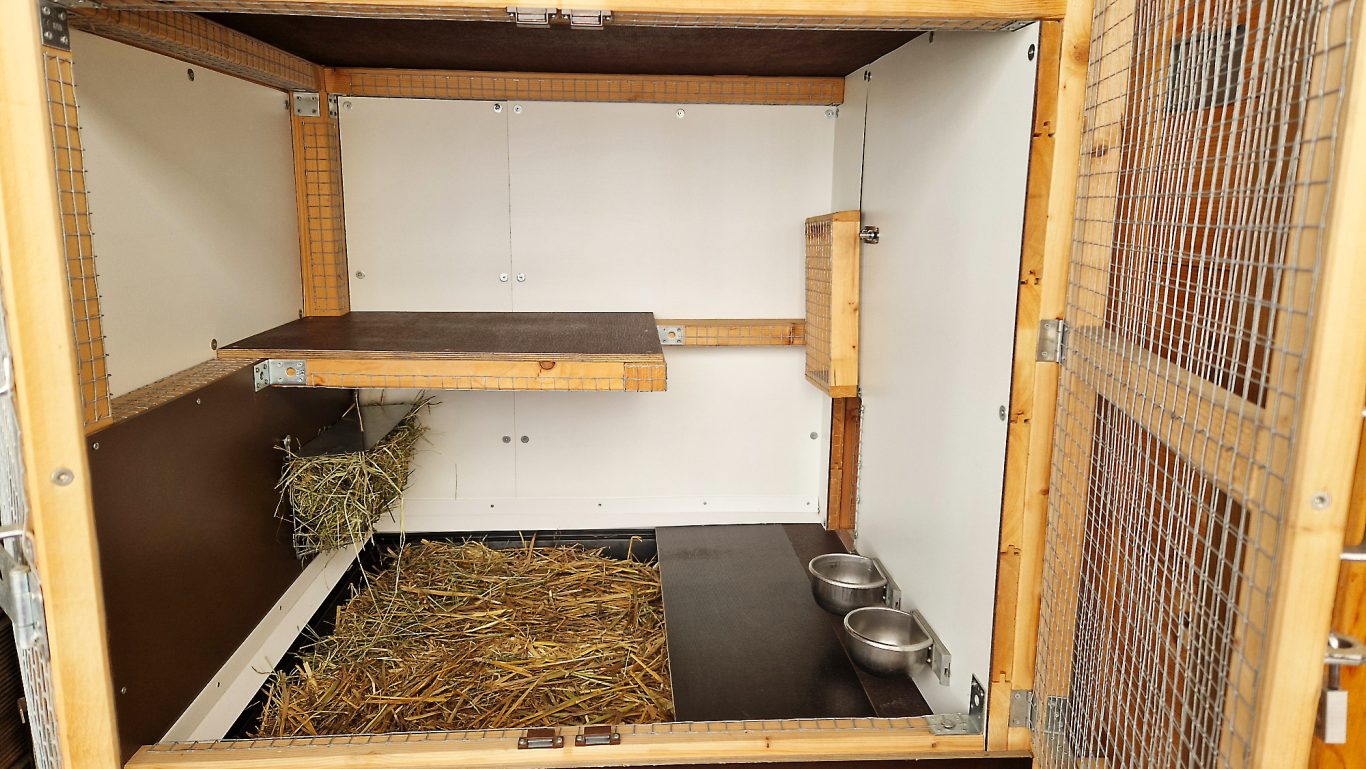 Kaninchen Pension Finca Langohr · Impression 06 Kaninchen Pension Finca Langohr